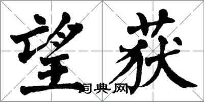 翁闓運望獲楷書怎么寫