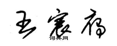 朱錫榮王宸雁草書個性簽名怎么寫