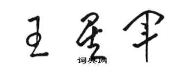 駱恆光王星軍草書個性簽名怎么寫