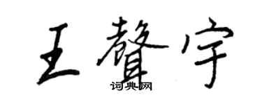 王正良王聲宇行書個性簽名怎么寫