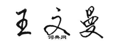 駱恆光王文曼行書個性簽名怎么寫