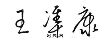 駱恆光王準康草書個性簽名怎么寫