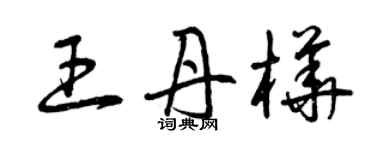 曾慶福王丹樺草書個性簽名怎么寫