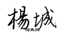王正良楊城行書個性簽名怎么寫