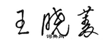 駱恆光王曉菱草書個性簽名怎么寫