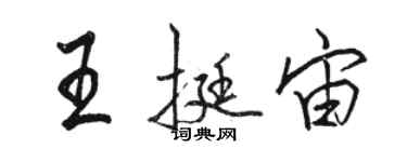 駱恆光王挺宙行書個性簽名怎么寫