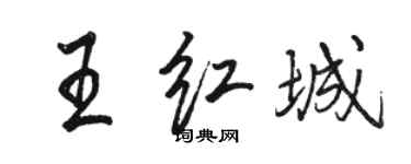 駱恆光王紅城行書個性簽名怎么寫