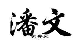 胡問遂潘文行書個性簽名怎么寫