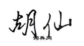 駱恆光胡仙行書個性簽名怎么寫
