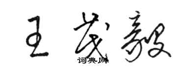 駱恆光王茂毅草書個性簽名怎么寫