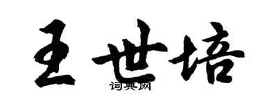 胡問遂王世培行書個性簽名怎么寫
