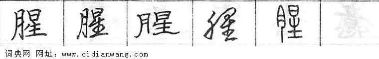 鋼筆字典