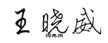 駱恆光王曉威行書個性簽名怎么寫