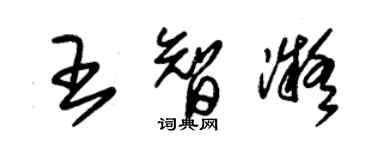 朱錫榮王智凝草書個性簽名怎么寫