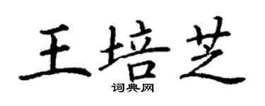 丁謙王培芝楷書個性簽名怎么寫