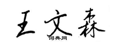 王正良王文森行書個性簽名怎么寫