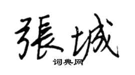 王正良張城行書個性簽名怎么寫