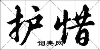 胡問遂護惜行書怎么寫