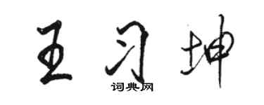 駱恆光王習坤行書個性簽名怎么寫
