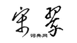 駱恆光宋翠草書個性簽名怎么寫