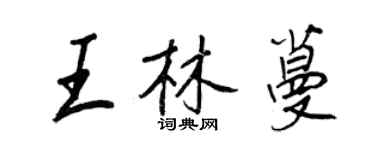 王正良王林蔓行書個性簽名怎么寫