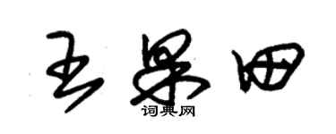 朱錫榮王果田草書個性簽名怎么寫