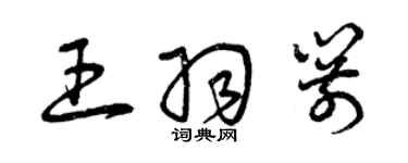 曾慶福王羽箭草書個性簽名怎么寫