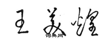 駱恆光王美煌草書個性簽名怎么寫