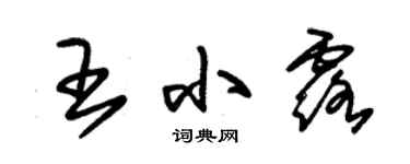 朱錫榮王小露草書個性簽名怎么寫