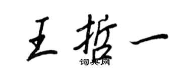 王正良王哲一行書個性簽名怎么寫