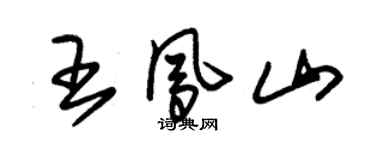 朱錫榮王鳳山草書個性簽名怎么寫