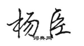 駱恆光楊臣行書個性簽名怎么寫