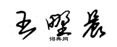 朱錫榮王野晨草書個性簽名怎么寫