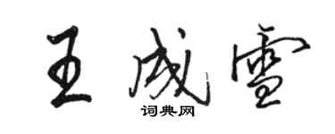 駱恆光王成雪行書個性簽名怎么寫