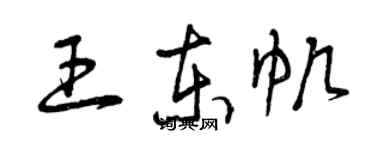 曾慶福王東帆草書個性簽名怎么寫