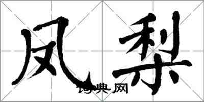 翁闓運鳳梨楷書怎么寫