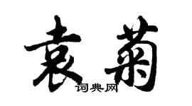 胡問遂袁菊行書個性簽名怎么寫