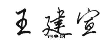 駱恆光王建宣行書個性簽名怎么寫