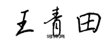 王正良王青田行書個性簽名怎么寫