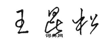 駱恆光王昆松草書個性簽名怎么寫