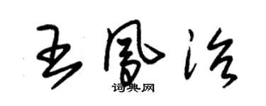 朱錫榮王鳳治草書個性簽名怎么寫