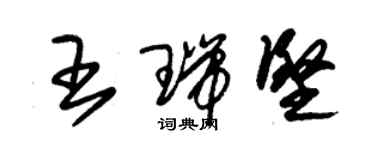 朱錫榮王瑞堅草書個性簽名怎么寫