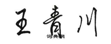 駱恆光王青川行書個性簽名怎么寫