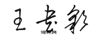 駱恆光王書彩草書個性簽名怎么寫