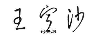 駱恆光王寧沙草書個性簽名怎么寫