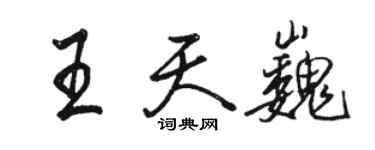 駱恆光王天巍行書個性簽名怎么寫