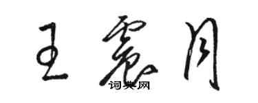 駱恆光王震月草書個性簽名怎么寫