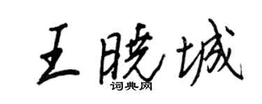 王正良王曉城行書個性簽名怎么寫