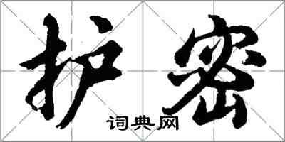 胡問遂護密行書怎么寫