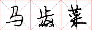 段相林馬齒菜行書怎么寫